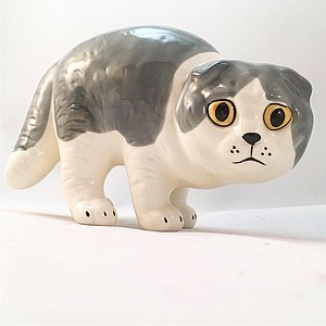 Скоттиш-фолд бело-серый