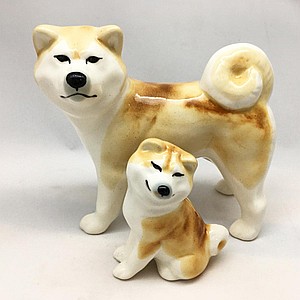 Акиты (комбо)